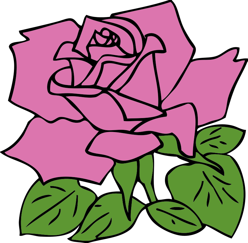 Pink Rose | Free Cliparts