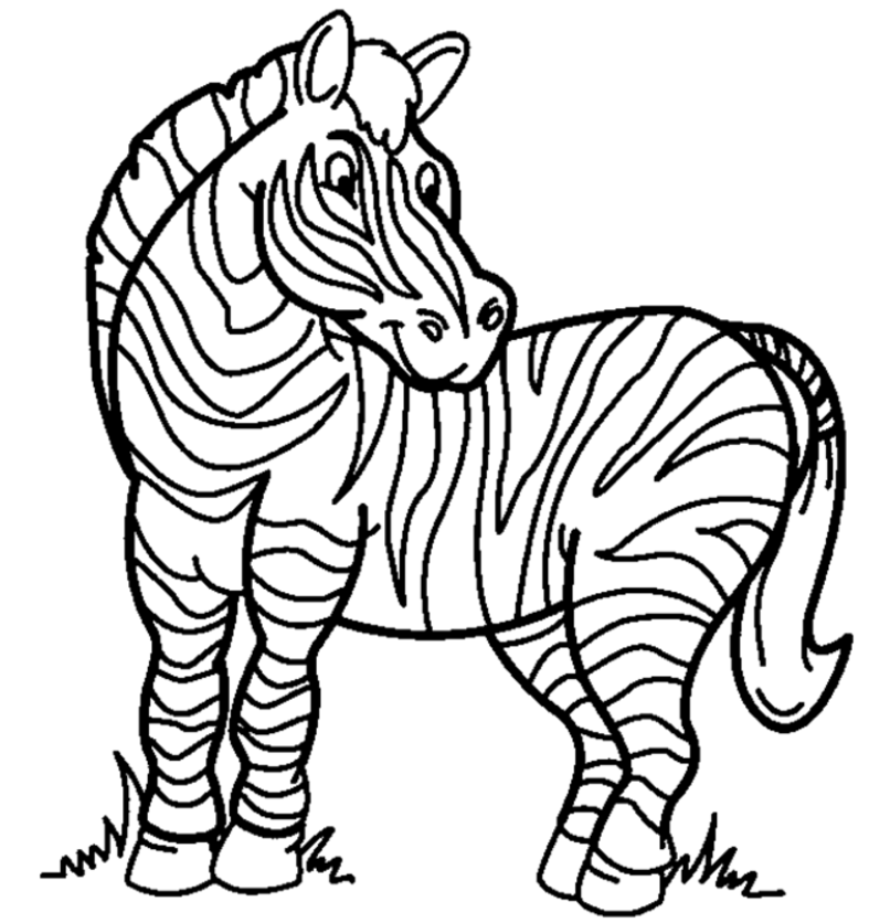Zebra Pictures Free - Cliparts.co