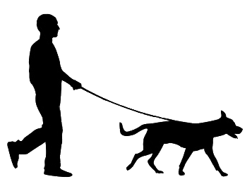 Dog Walkers | Montreal Dog Blog