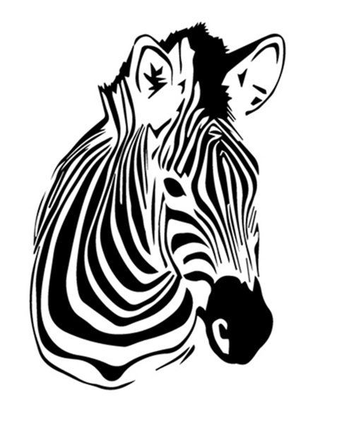 Zebra In Line Drawing - Cliparts.co