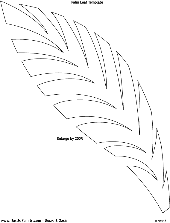 palm-leaves-template