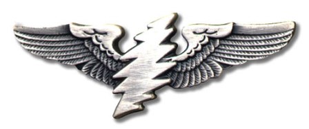 Grateful Dead - Large Lightning Bolt Pilot Wings Pin