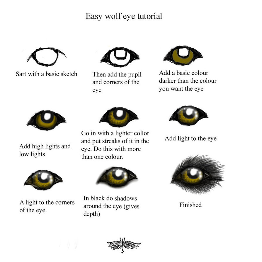Easy Wolves Drawings - Gallery