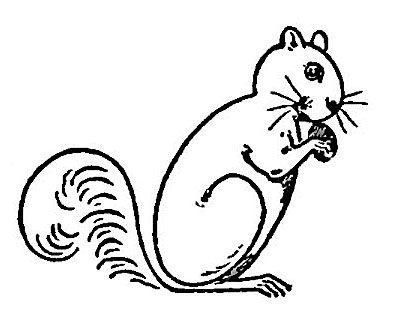 Squirrel Clipart Black And White | Clipart Panda - Free Clipart Images