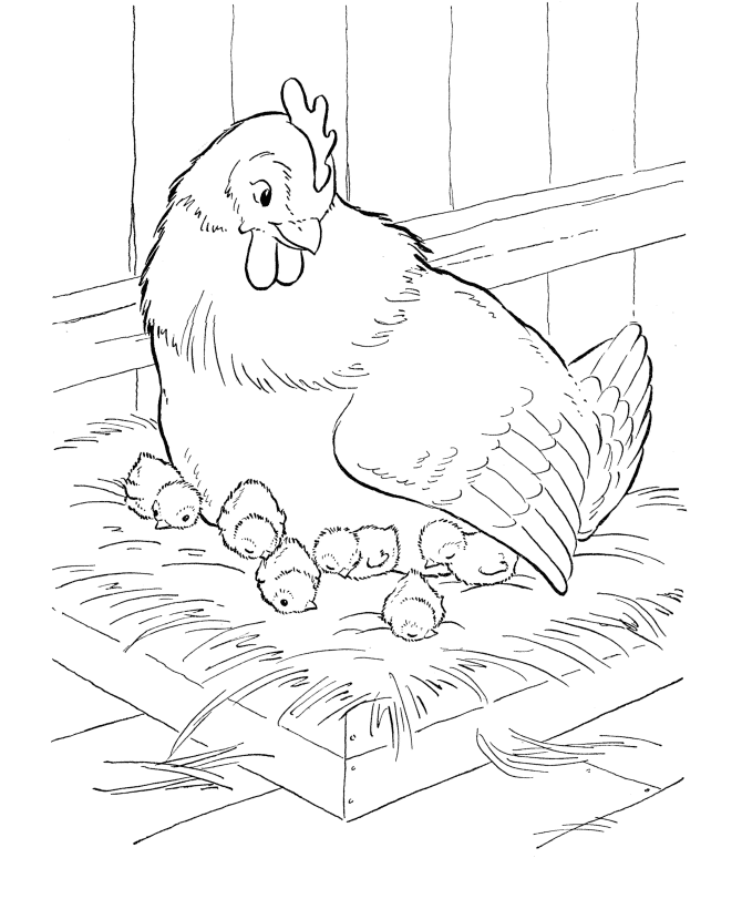 Farm Animal Coloring Pages | Mother hen sitting on her nest ...