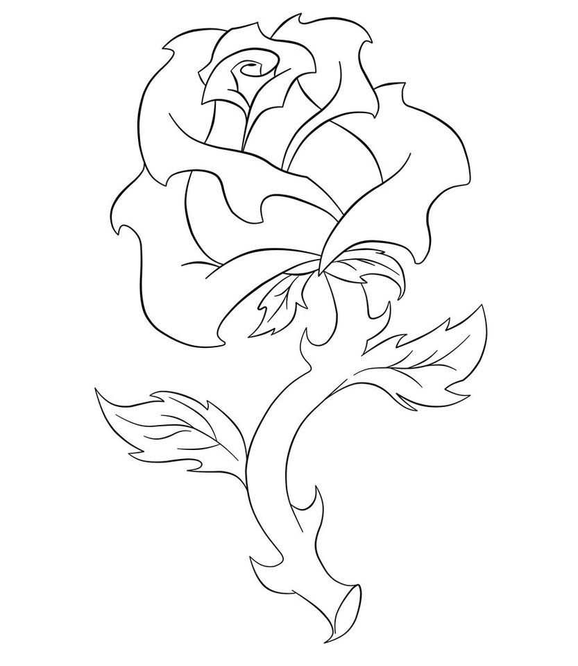 Rose Line Drawing - Cliparts.co