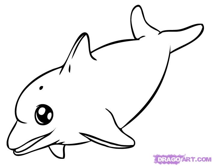 How to Draw a Dolphin, Step by Step, Sea animals, Animals, FREE ...