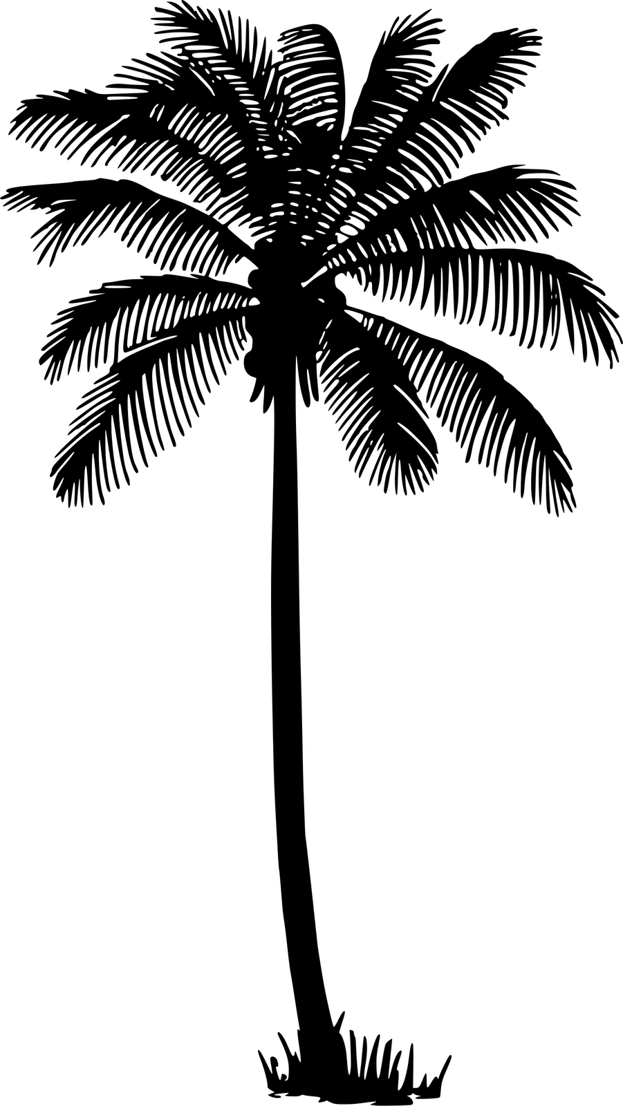 Vector Palm Tree Silhouette | imagebasket.net