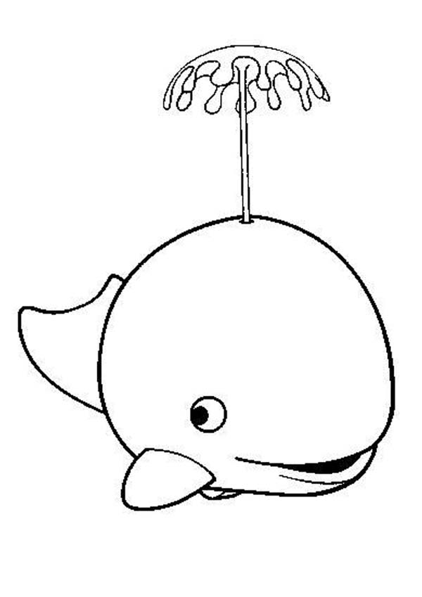 Cute Whale Spurting Water Coloring Page | Kids Play Color