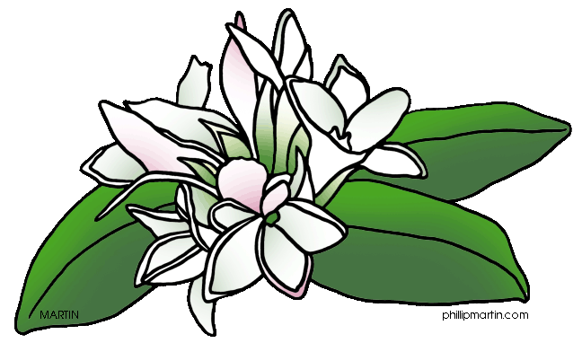 free may flower clip art - photo #12