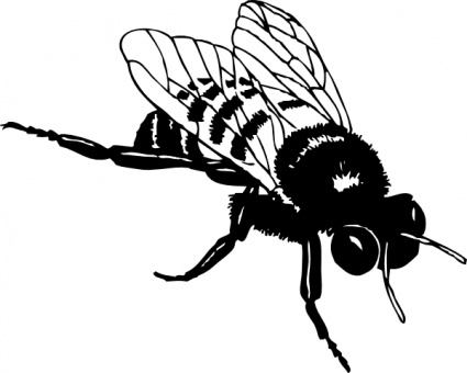 Pix For > Vintage Bumble Bee Clip Art