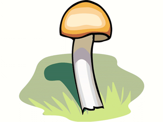 Download Vegetable Clip Art ~ Free Clipart of Vegetables: Mushroom ...