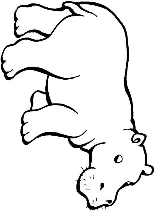 Hippo Coloring Pages For Kids - Free Printable Coloring Pages ...