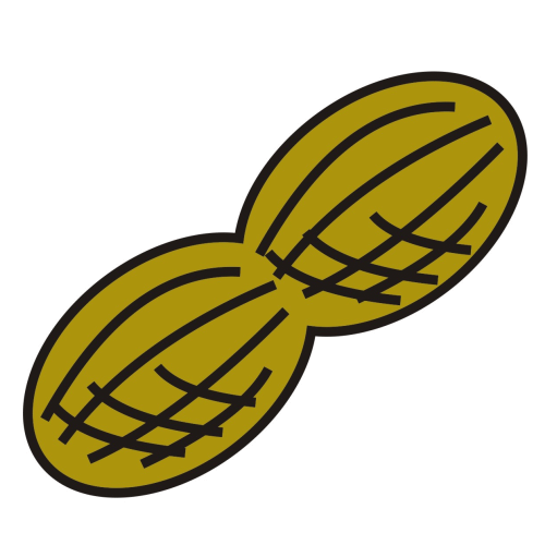 clipart peanut logo - photo #2