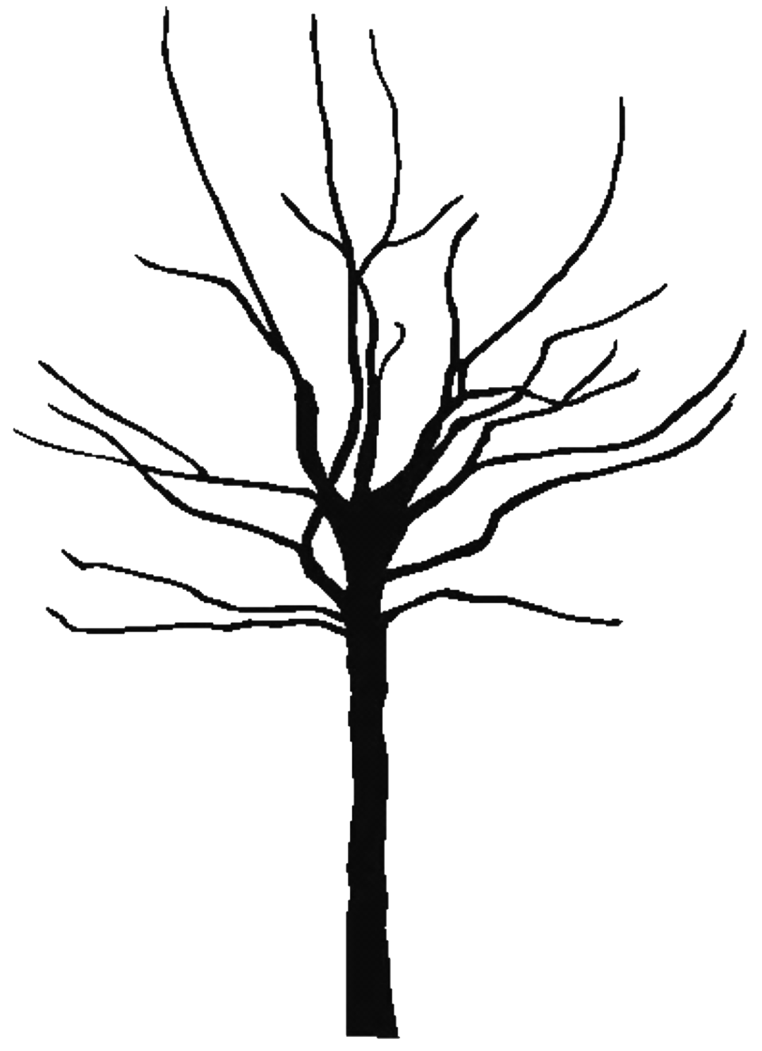 Tree outline coloring page - Coloring Pages & Pictures - IMAGIXS