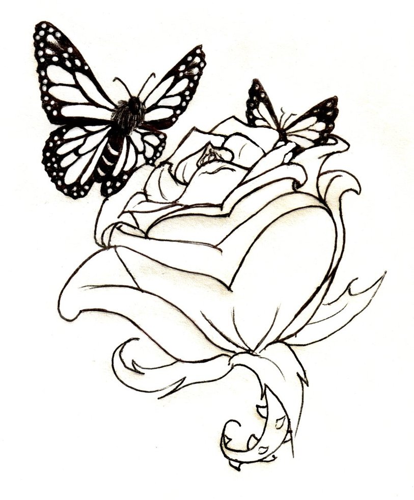 Tattoo Lineart: Rose and Butterflies by waitkc on deviantART