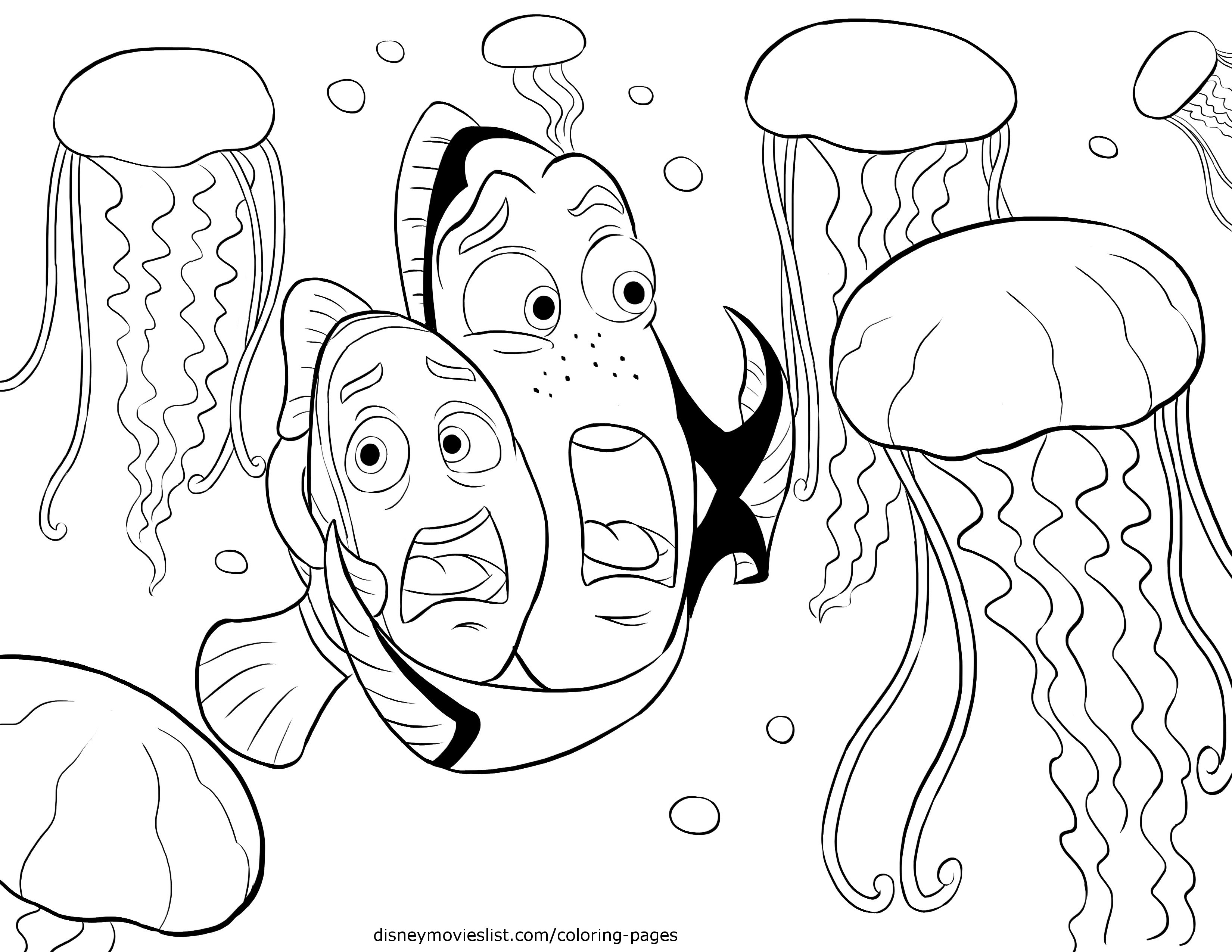 disneys finding nemodory marlin scared of jellyfish coloring page ...