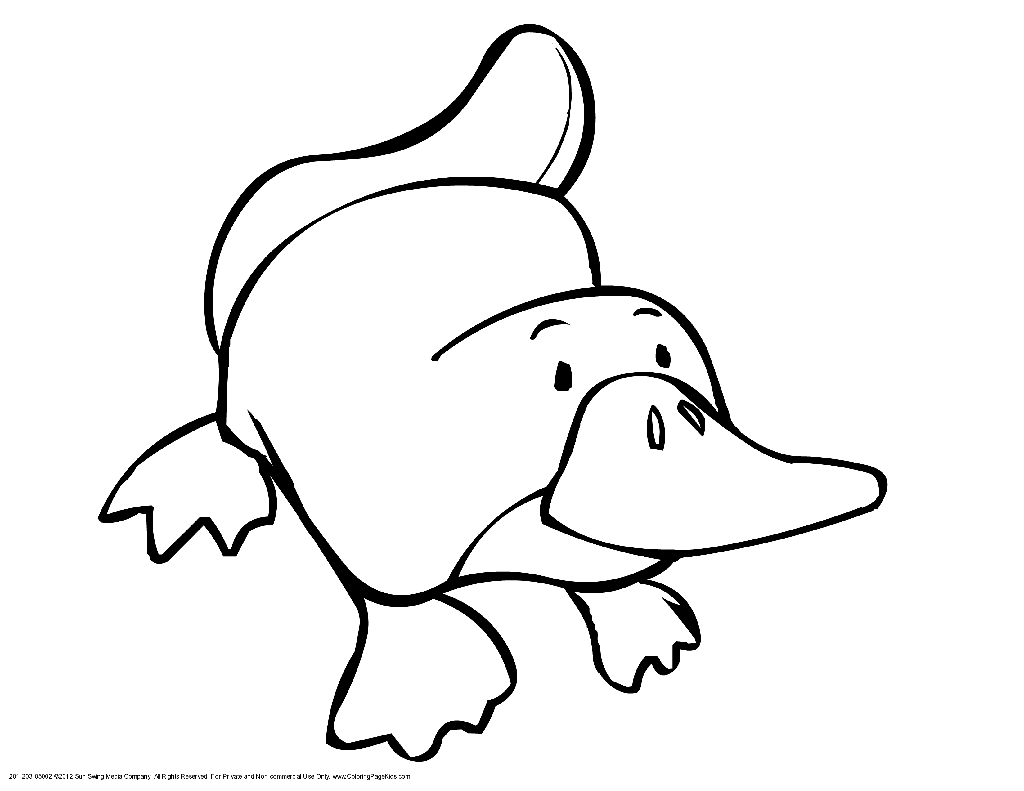 Platypus Coloring Pages | Clipart Panda - Free Clipart Images