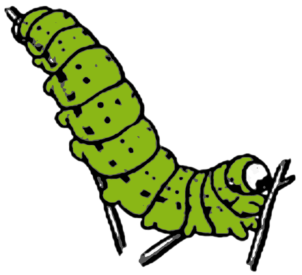 Images For > Caterpillar On A Leaf Clipart