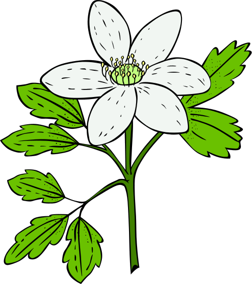 Free to Use & Public Domain Flowers Clip Art - Page 4