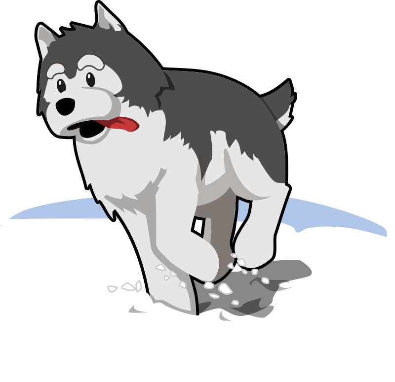 Husky running in snow Free Vector / 4Vector