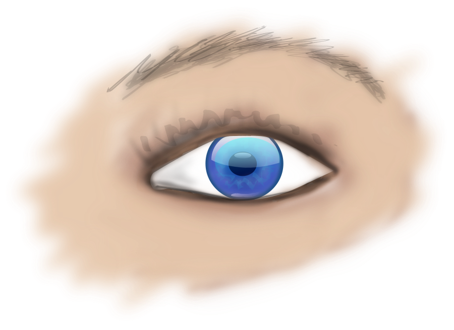 Human eye SVG Vector file, vector clip art svg file