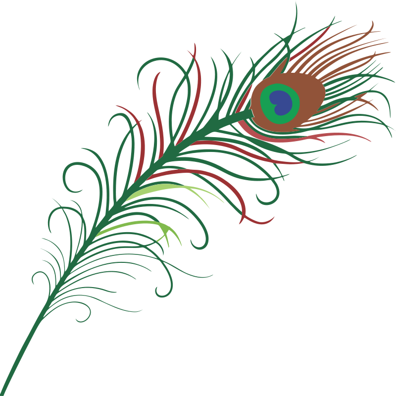 This peacock feather clip art