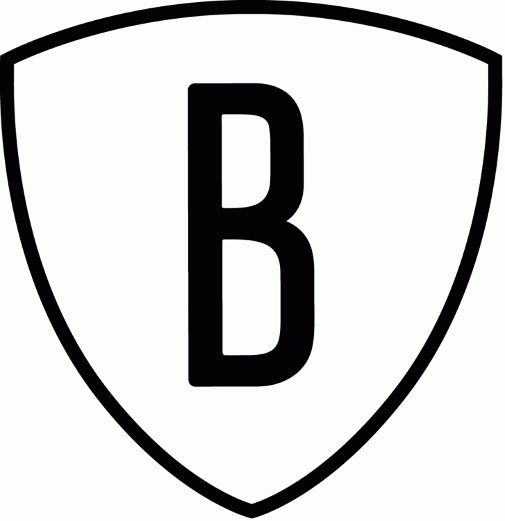 Brooklyn Nets Secondary Logo - National Basketball Association ...