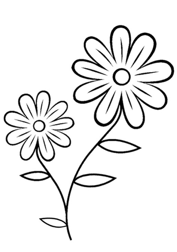 Free Online Flower Colouring Page