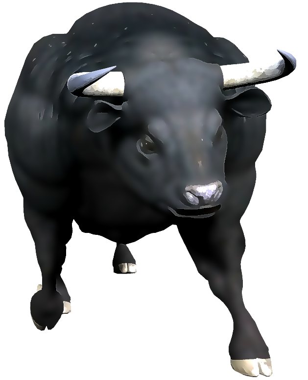 The wild bull | Shenaz Wahid