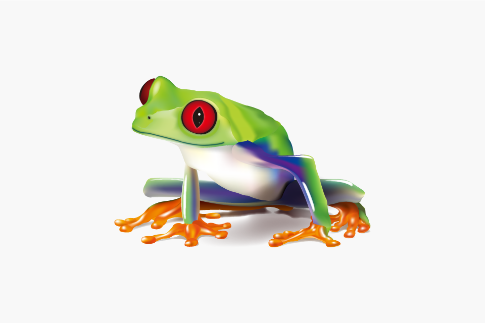 Frog | TARO PROJECT