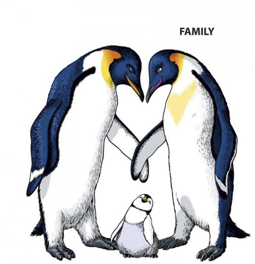 Pin Penguin Coloring Page Source D30jpg Picture on Pinterest