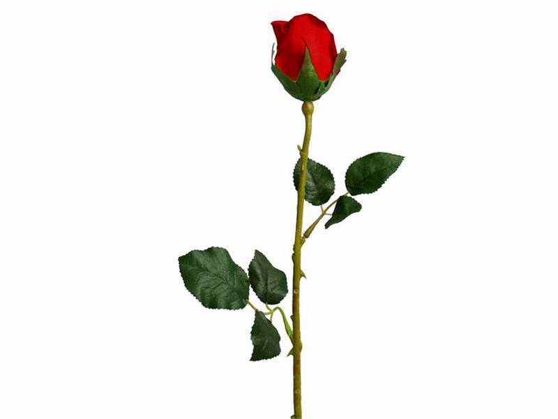 24 Long Stem Roses - Red | MonsterMarketplace. - ClipArt Best ...