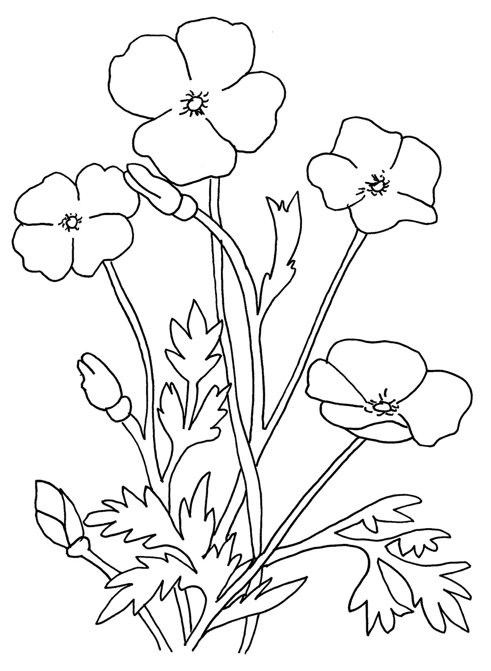 Flower-Drawing-For-Kids-For- ...