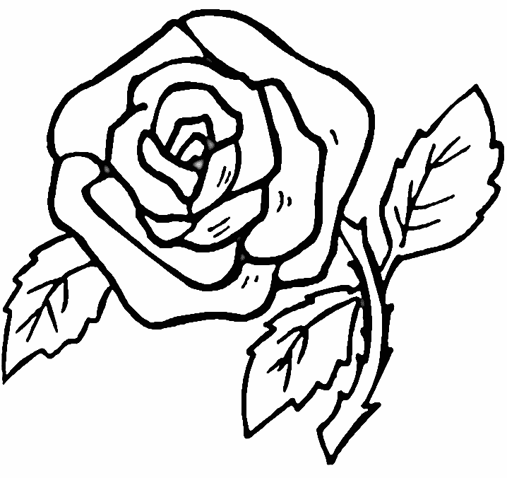 Rose Old School Drawing