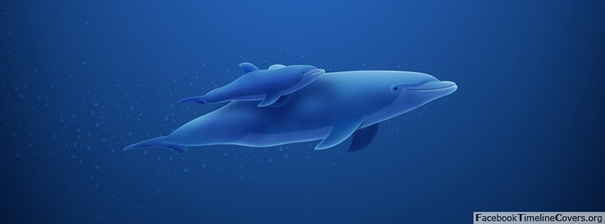 Animated Blue Dolphins - Facebook Timeline Covers