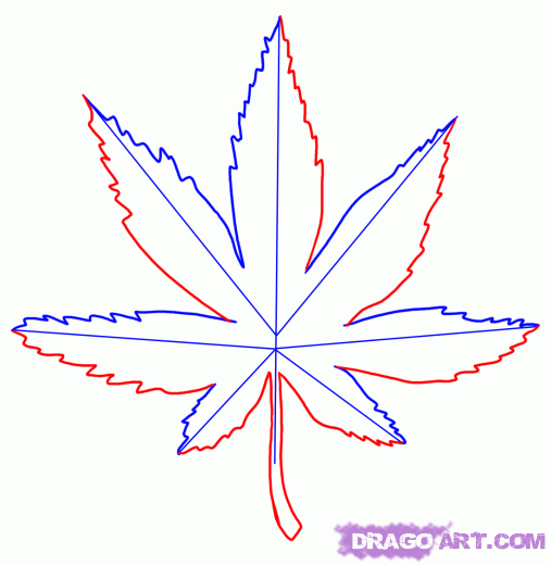 how-to-draw-a-pot-leaf-step-3_ ...