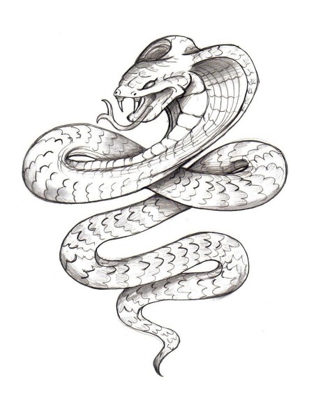 Snake Drawing Tumblr | picturespider.com