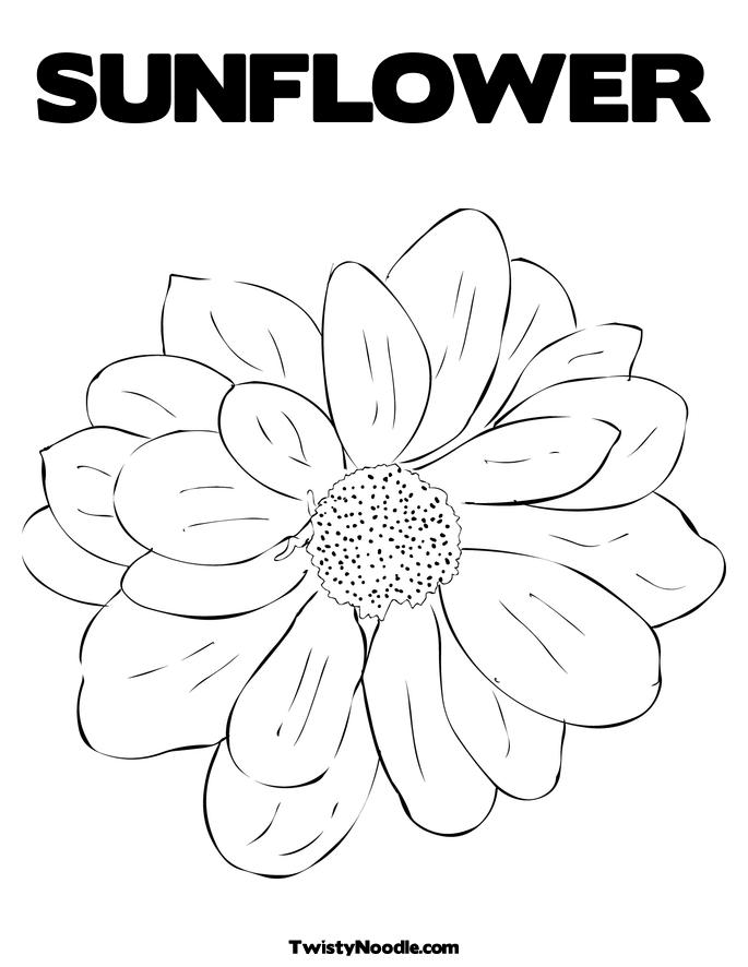 COLORING PAGE SUNFLOWER « ONLINE COLORING - Cliparts.co