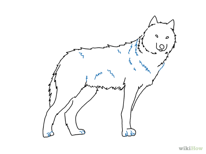 4 Ways to Draw a Wolf - wikiHow