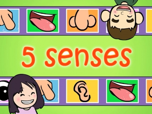 The 5 Senses: Process