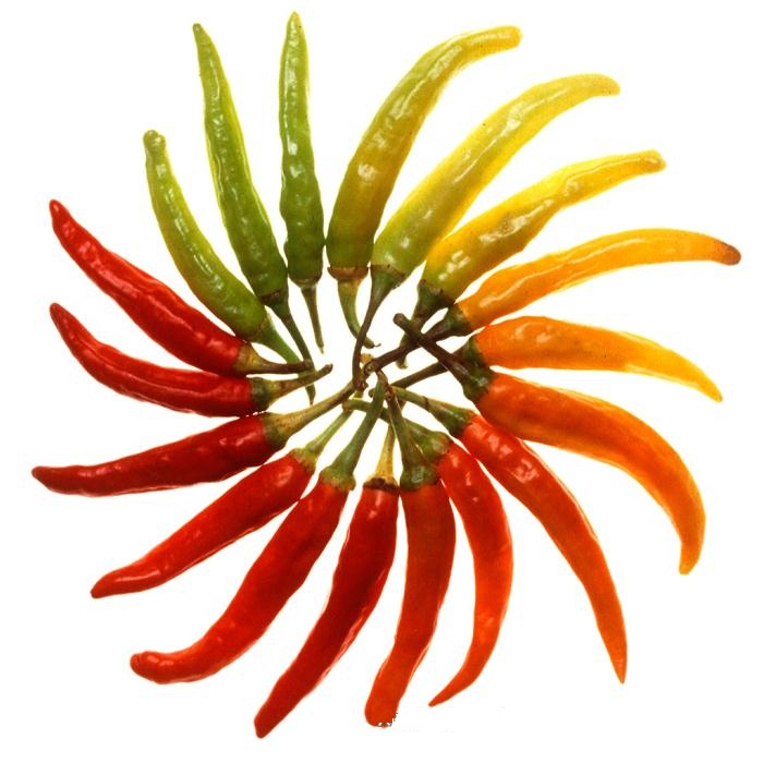 Chili Pepper Uses and Benefits | nnnefertiti