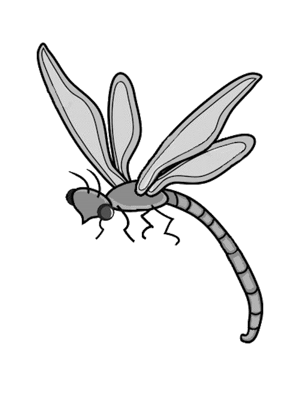 Dragonfly Line Drawing
