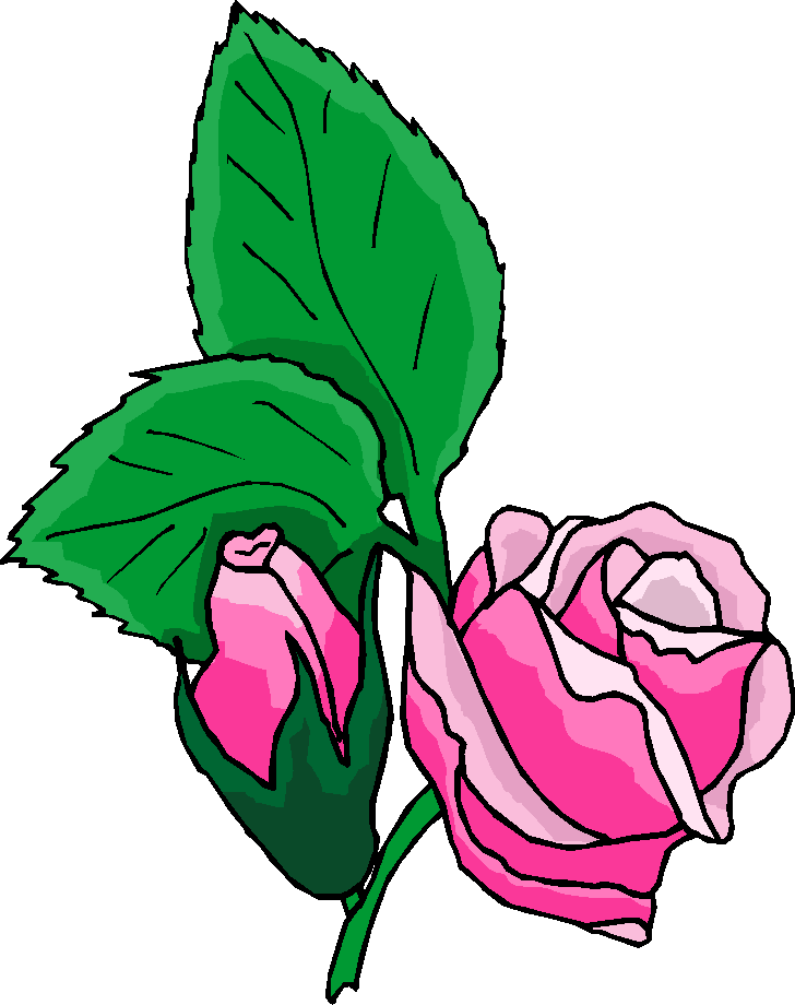 Pin Pink Rose Free Clipartpng on Pinterest