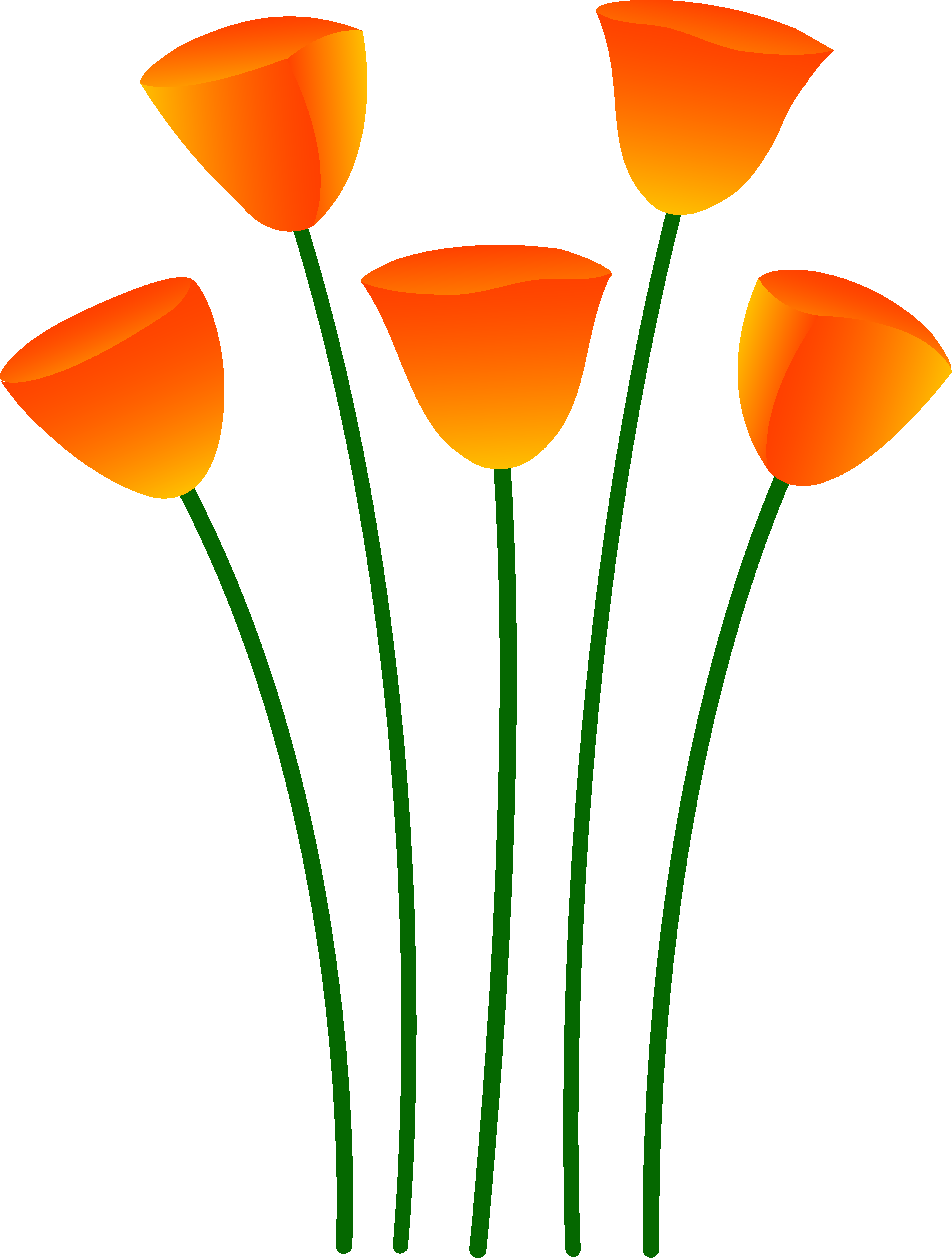 Orange Flower Drawing Clipart - Free Clip Art Images