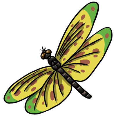 Dragonfly Art Images - Cliparts.co