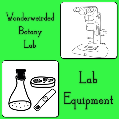 Botany Lab Science Clipart,Free Botanical Chemistry Clipart ...