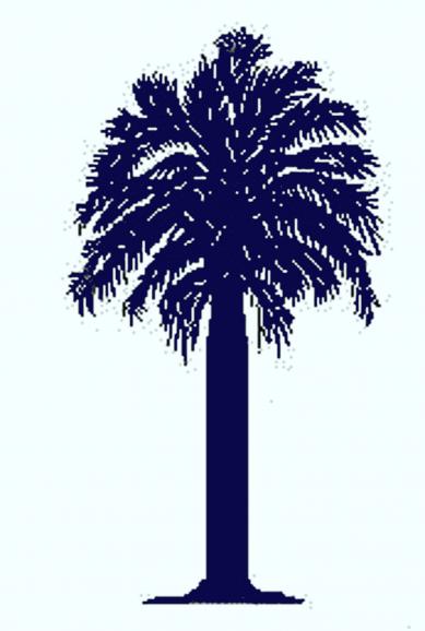 Palmetto Tree Picture - Cliparts.co