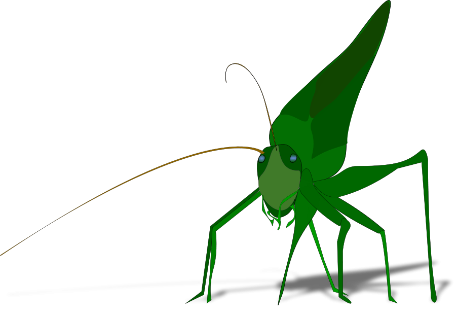 Grasshopper with shadow small clipart 300pixel size, free design ...