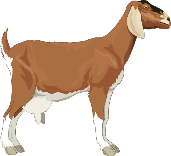 Goat clip art - vector clip art online, royalty free & public domain